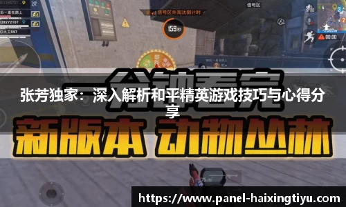 张芳独家：深入解析和平精英游戏技巧与心得分享